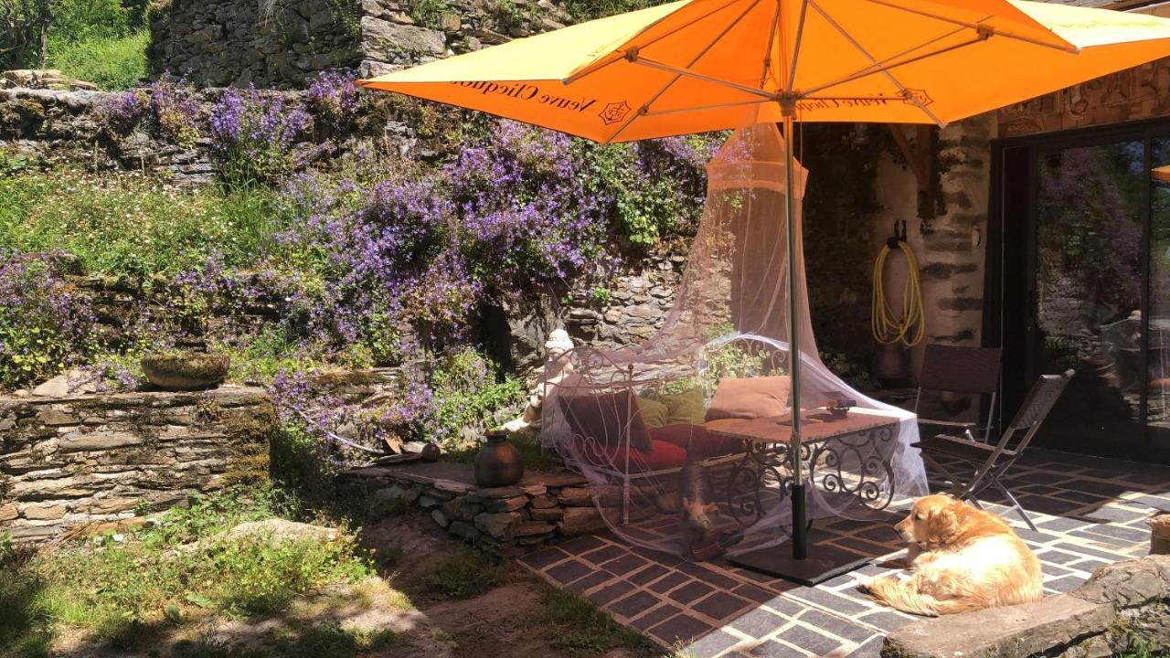 Gite Terra Bosca Cambounes Exterior photo