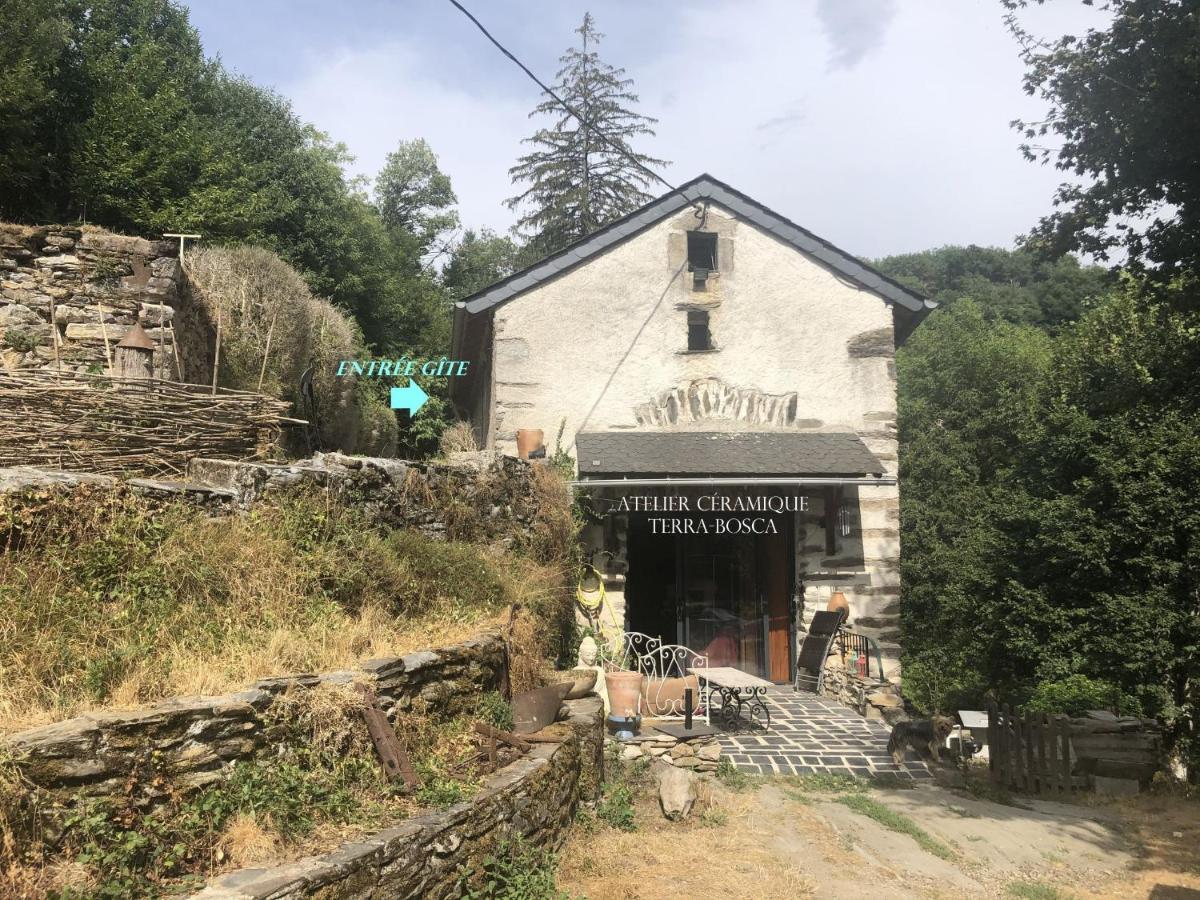 Gite Terra Bosca Cambounes Exterior photo