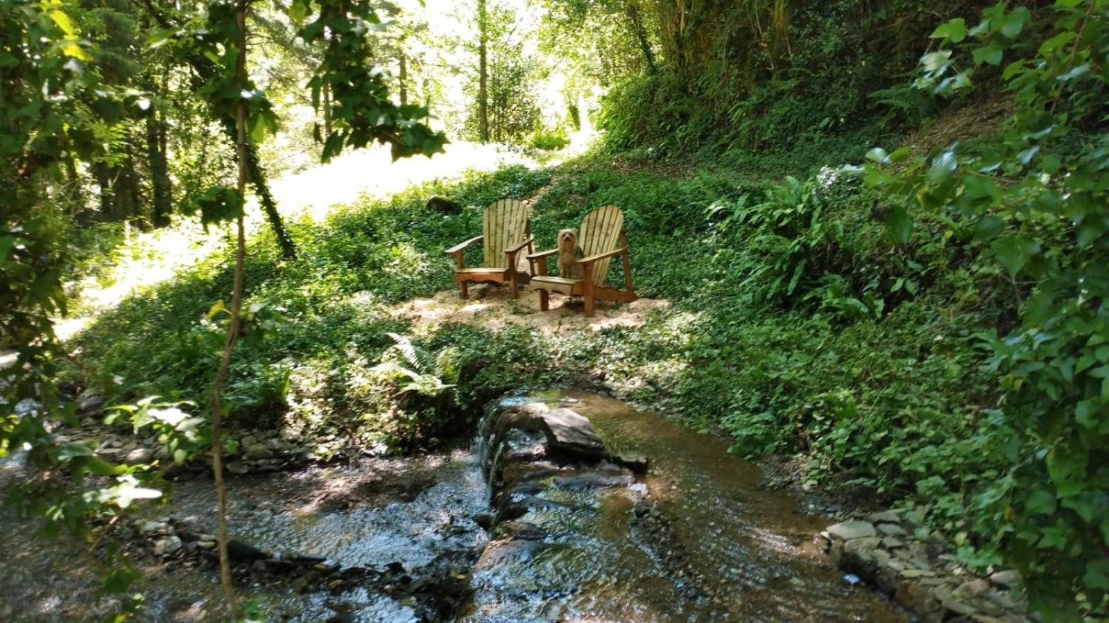 Gite Terra Bosca Cambounes Exterior photo